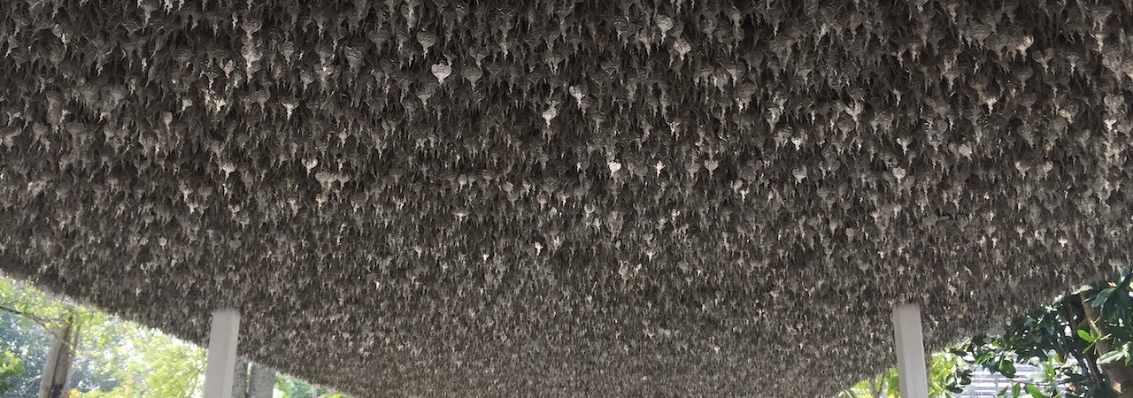 Incidunt voluptatem repellendus harum voluptatem assumenda.